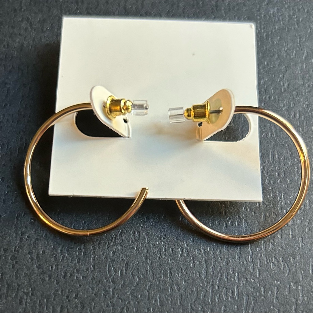 Nwt Last Chance Hoop Earrings